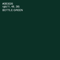 #0B3026 - Bottle Green Color Image